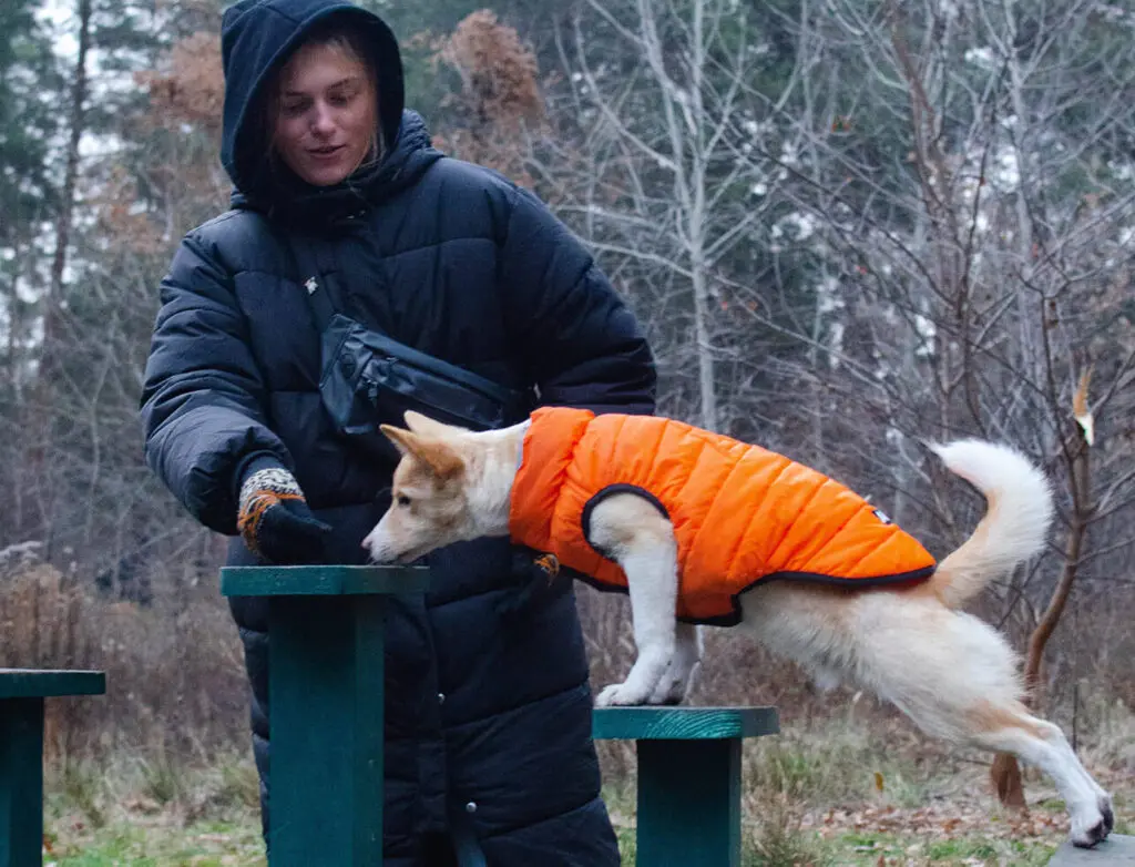 Online Pet Care Learning Center Pet Behavior Solutions